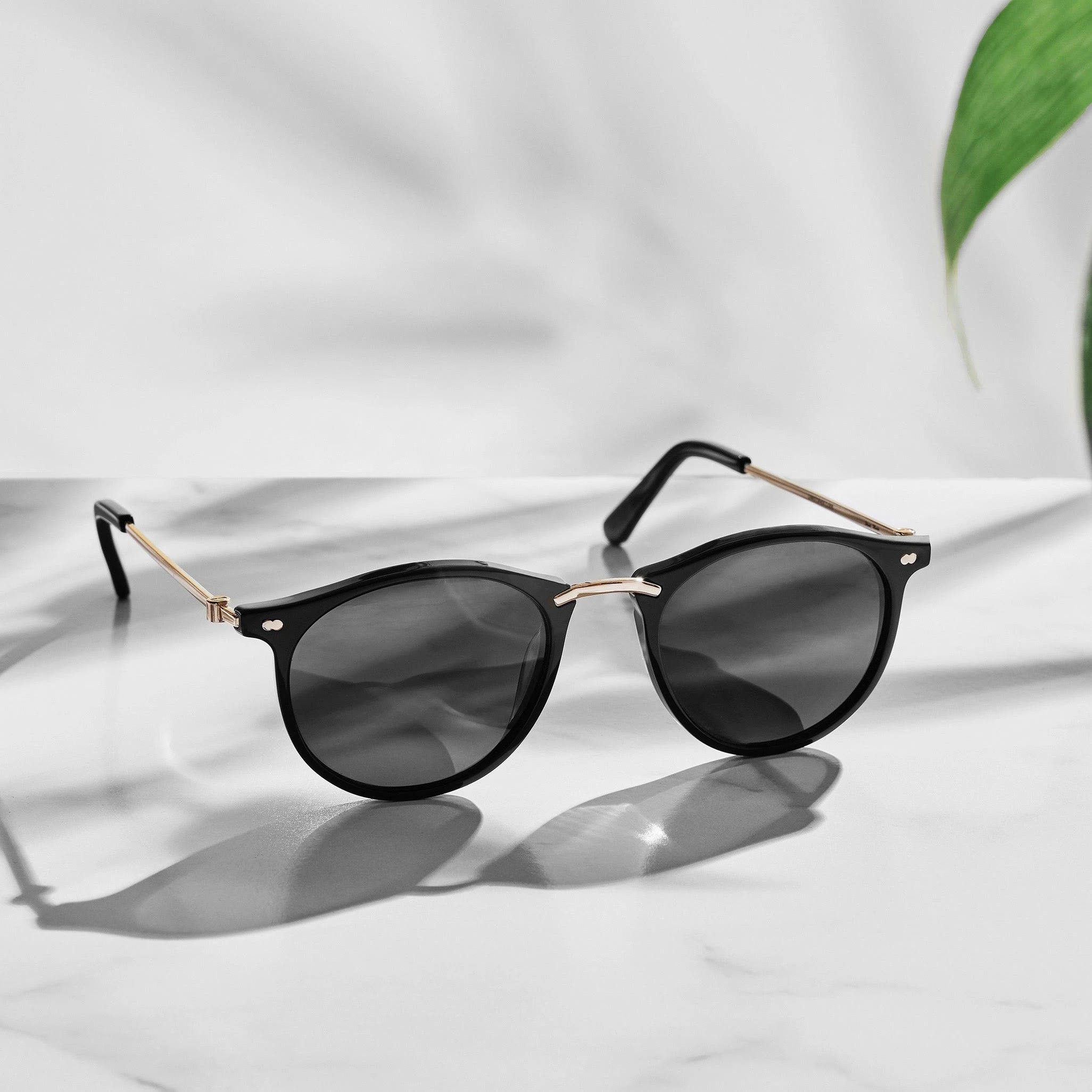 Christopher Cloos Pacifica - Espresso Sun Prescription 7 Christopher Cloos Pacifica - Espresso Sun Prescription