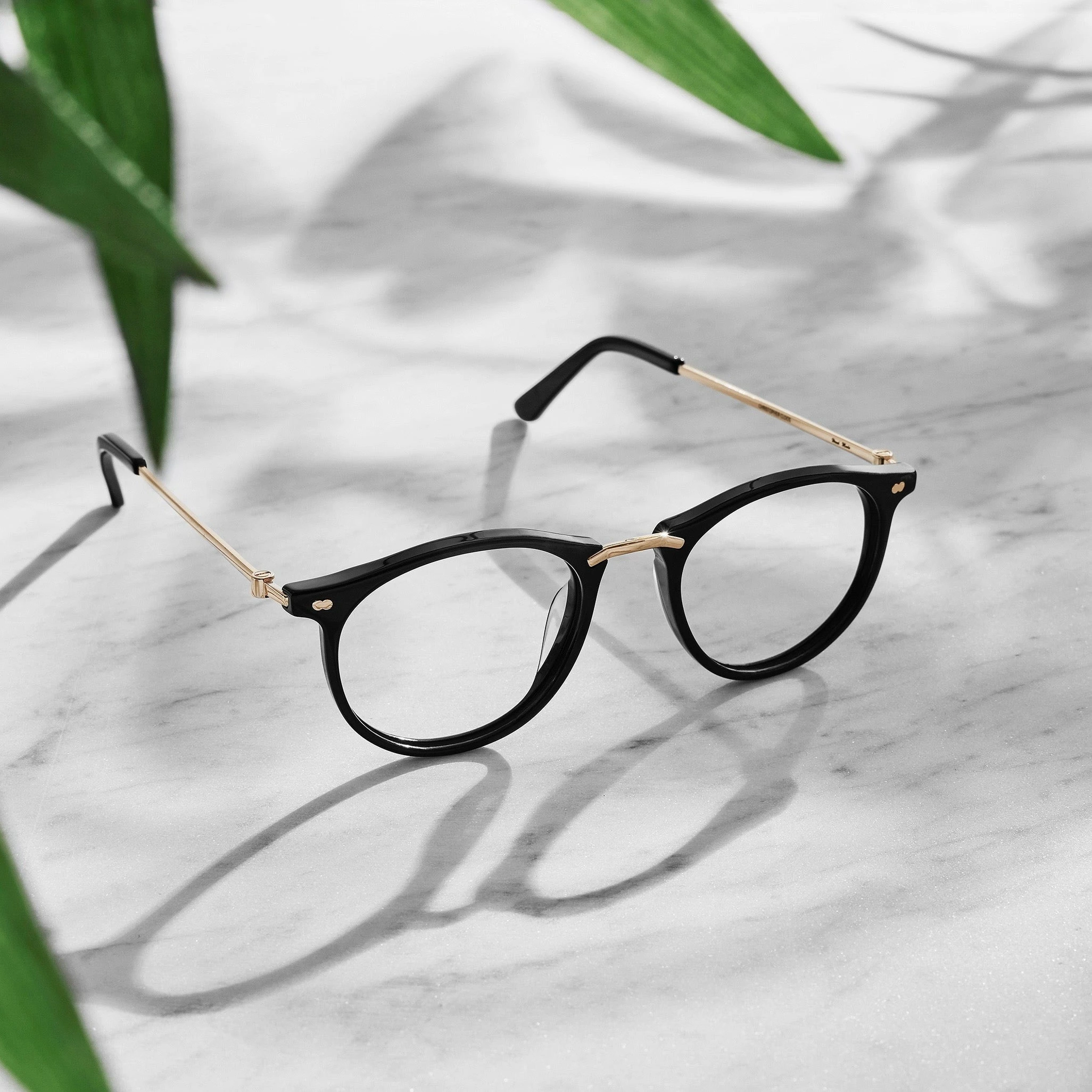 Christopher Cloos Pacifica - Ristretto Prescription 7 Christopher Cloos Pacifica - Ristretto Prescription